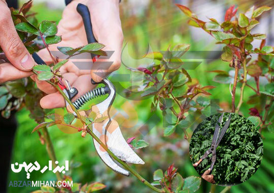 قیچی هرس باغبانی یکی از کاربردی ترین قیچی باغبانی برای برش شاخه های درختان