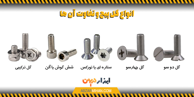 اینفوگرافی انواع گل پیچ و تفاوت آن ها